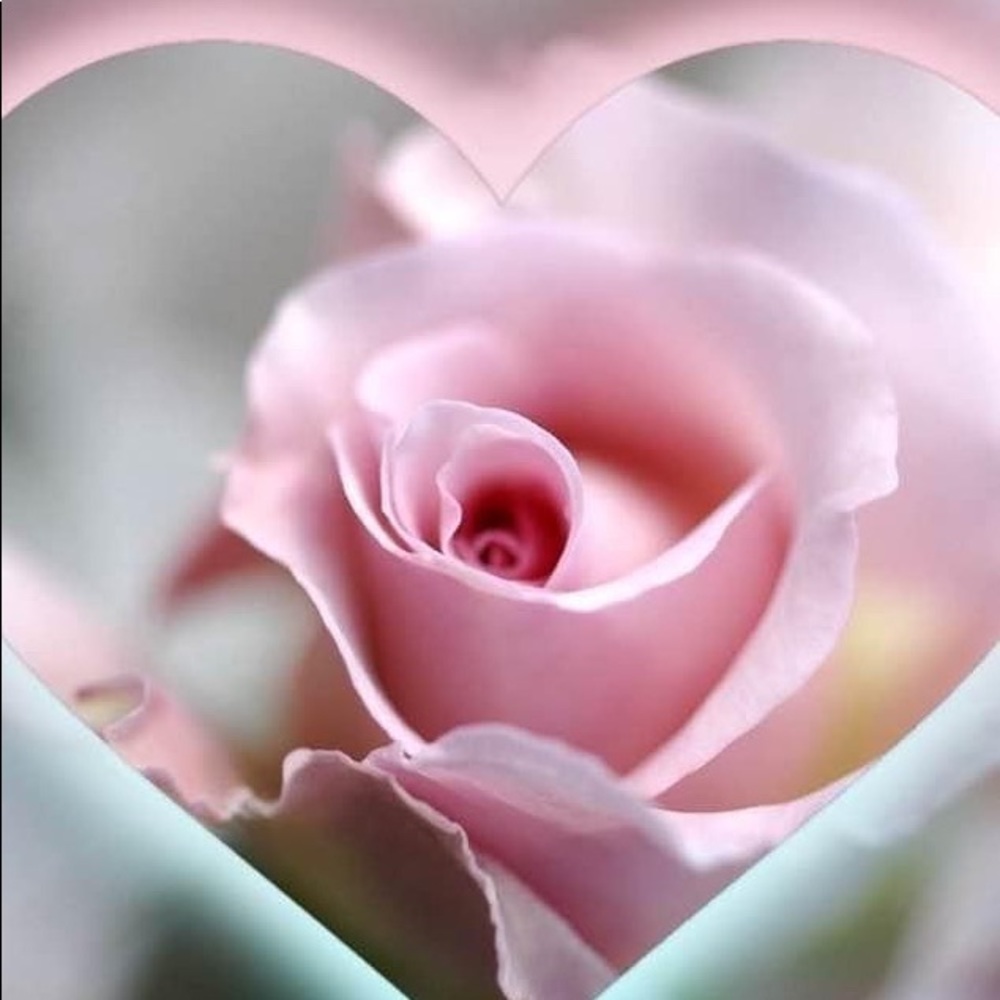 Meet your Posher, Elaine